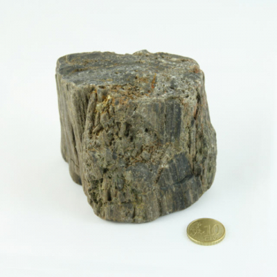Fossiler Fund Nr.1 70x70x80 mm