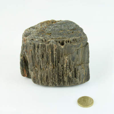 Fossiler Fund Nr.1 70x70x80 mm
