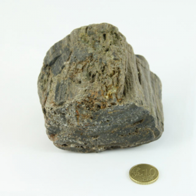 Fossiler Fund Nr.1 70x70x80 mm