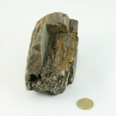 Fossiler Fund Nr.2 60x70x120 mm