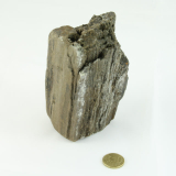 Fossiler Fund Nr.2 60x70x120 mm