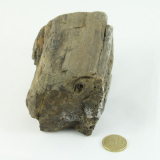 Fossiler Fund Nr.2 60x70x120 mm